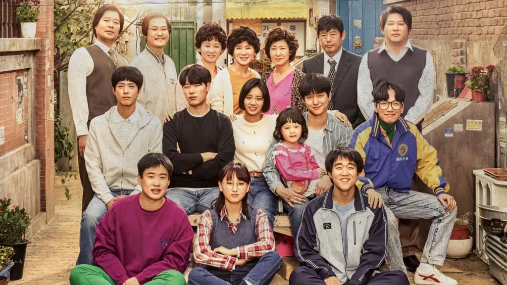 Reply 1988 (2015)