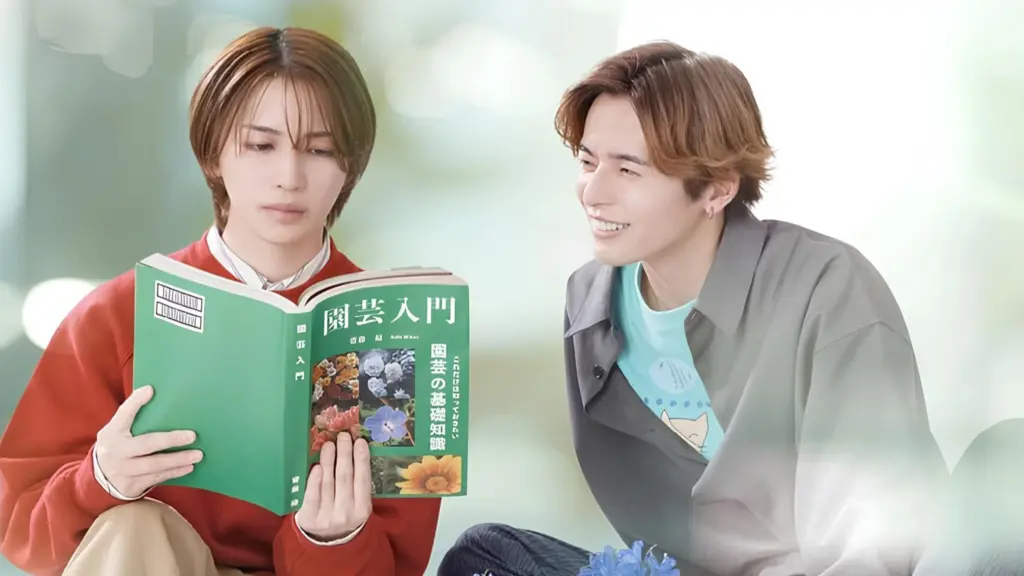 The Proper Way to Write Love (2026)
